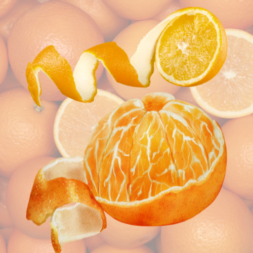 Untitled design - 2025-07-26T051216.571