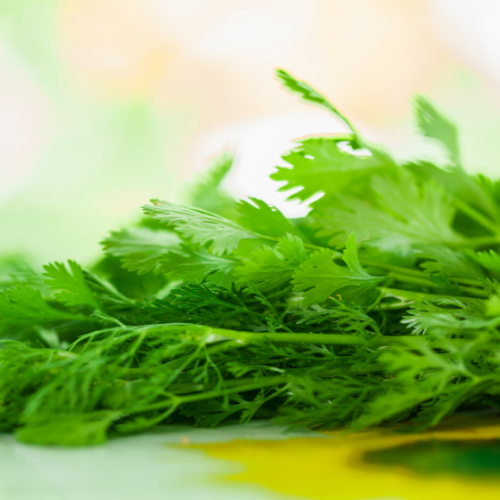 Untitled design - 2025-07-26T055408.140